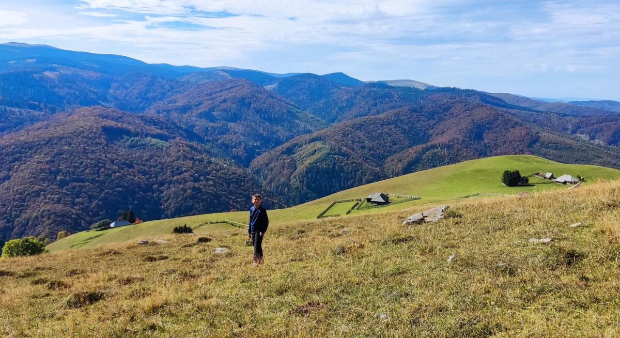 Eden Natural Resort - Transalpina Capalna Luaran gambar