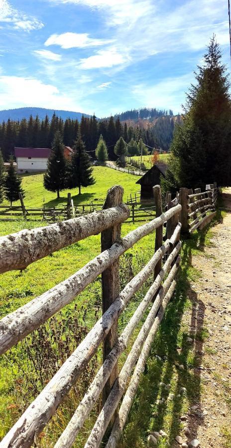 Eden Natural Resort - Transalpina Capalna Luaran gambar