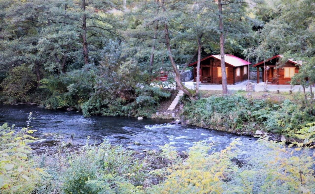 Eden Natural Resort - Transalpina Capalna Luaran gambar