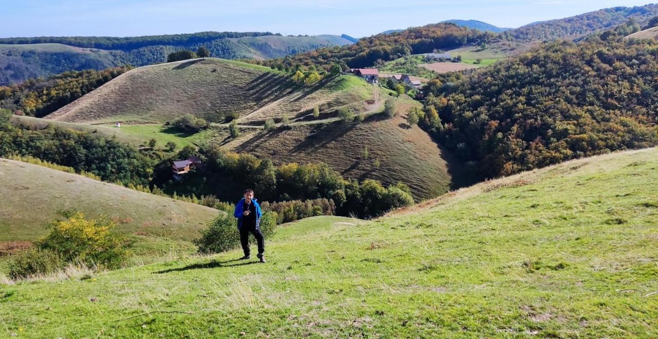 Eden Natural Resort - Transalpina Capalna Luaran gambar