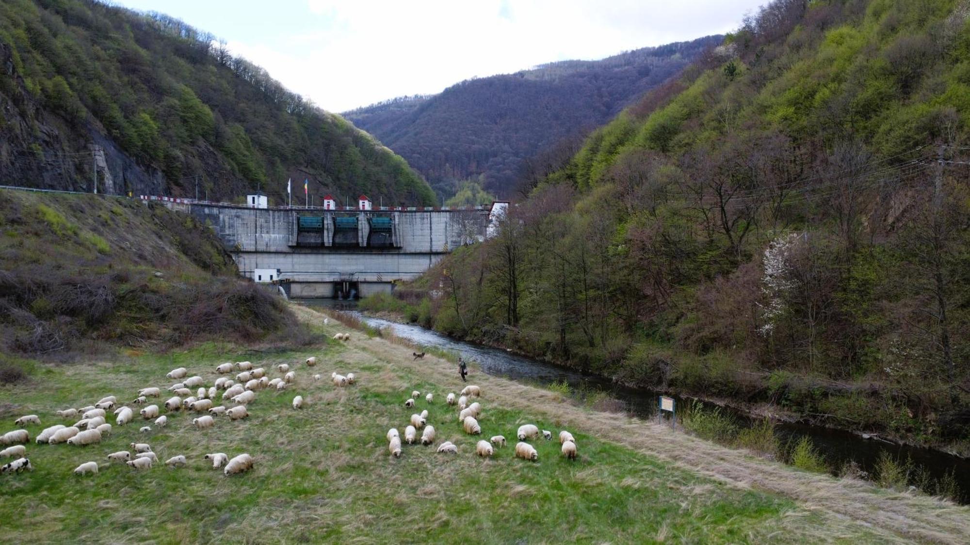 Eden Natural Resort - Transalpina Capalna Luaran gambar